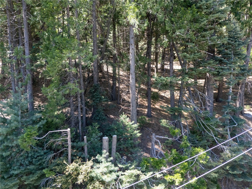 24355 Albrun Property Photo 11