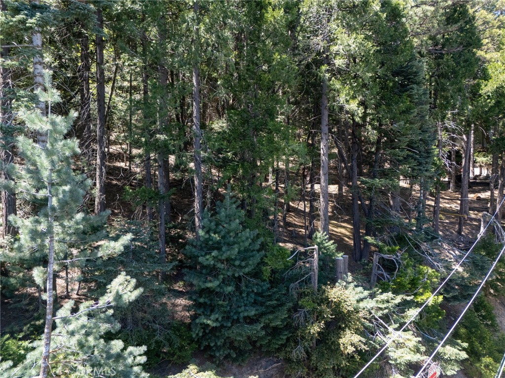 24355 Albrun Property Photo 13