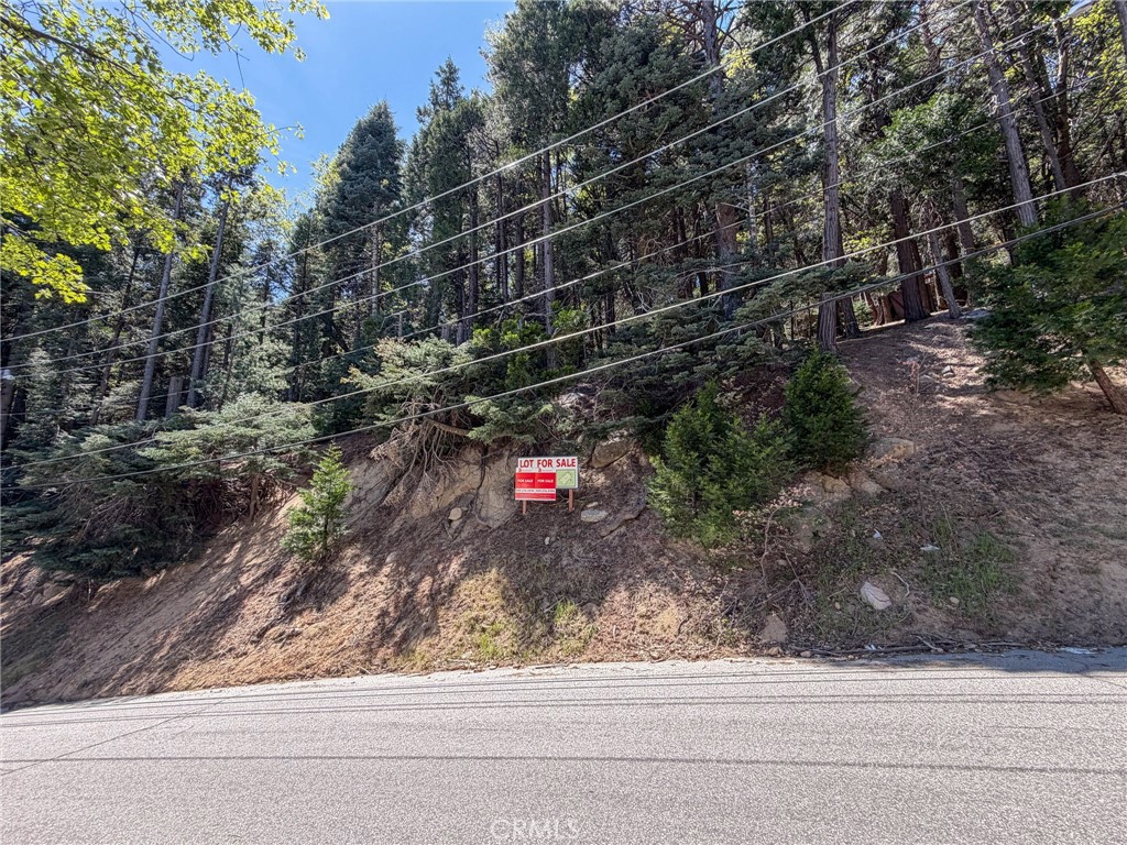 24355 Albrun Property Photo 14