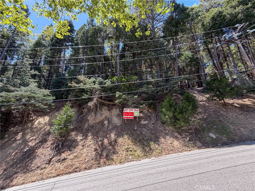 24355 Albrun Property Photo 15