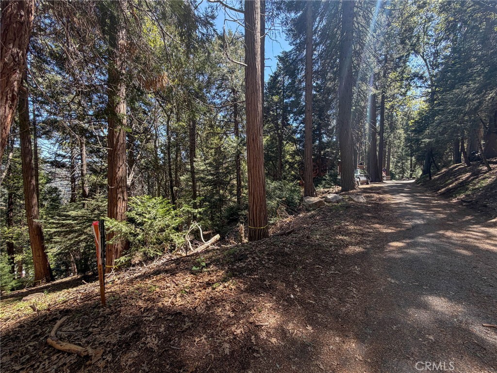 24355 Albrun Property Photo 16