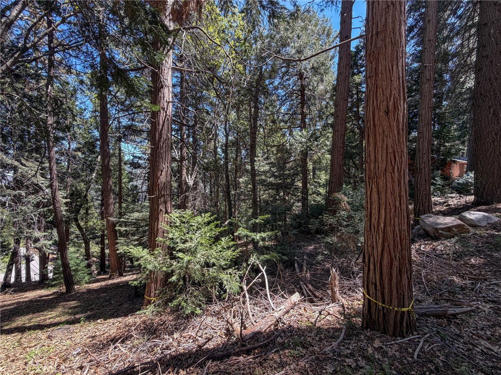 24355 Albrun Property Photo 17