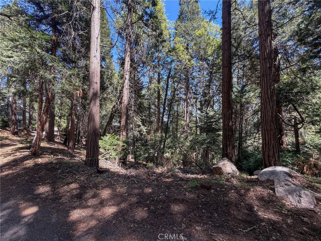 24355 Albrun Property Photo 18