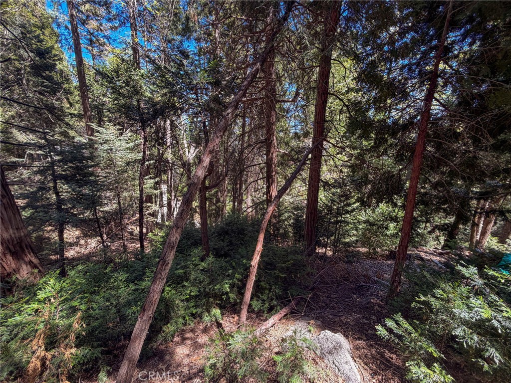 24355 Albrun Property Photo 20