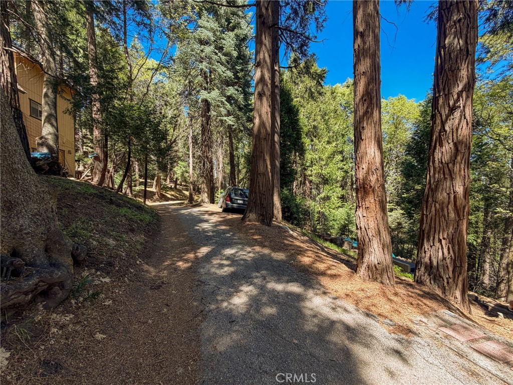 24355 Albrun Property Photo 21