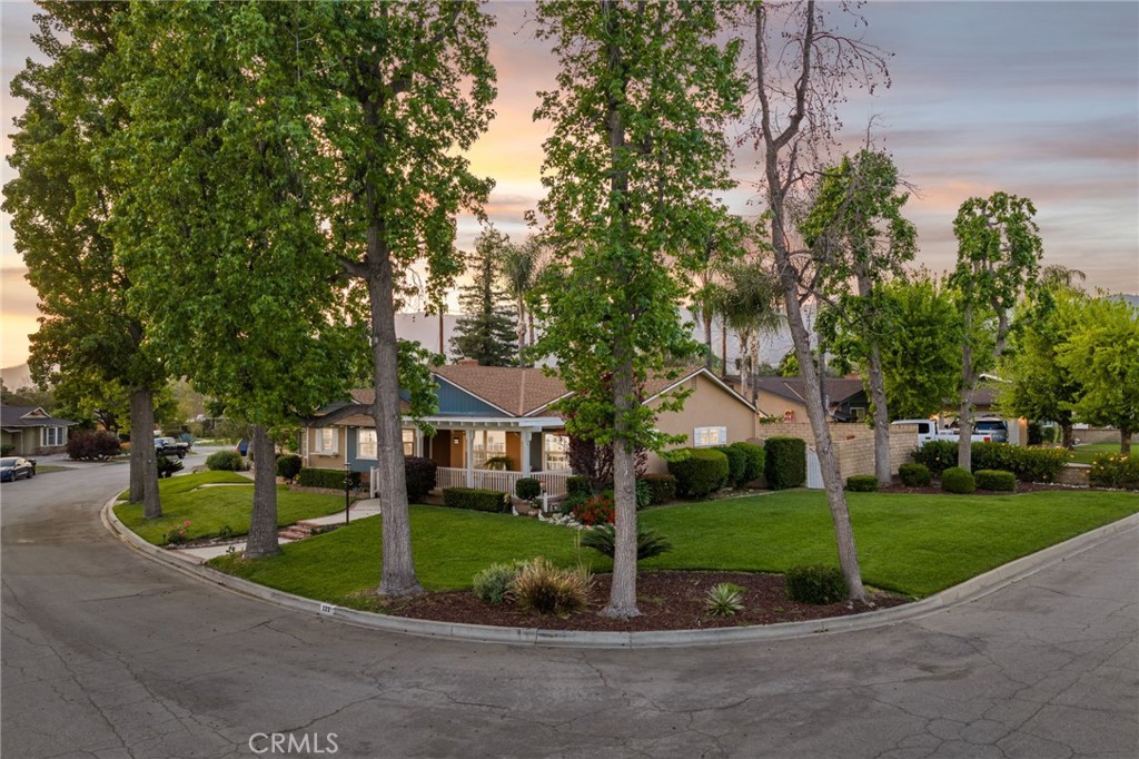 222 Wagonwheel Property Photo 14