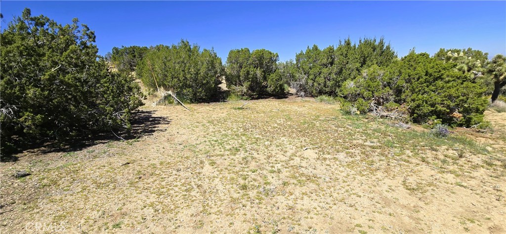 0 Sunnyslope Property Photo 7