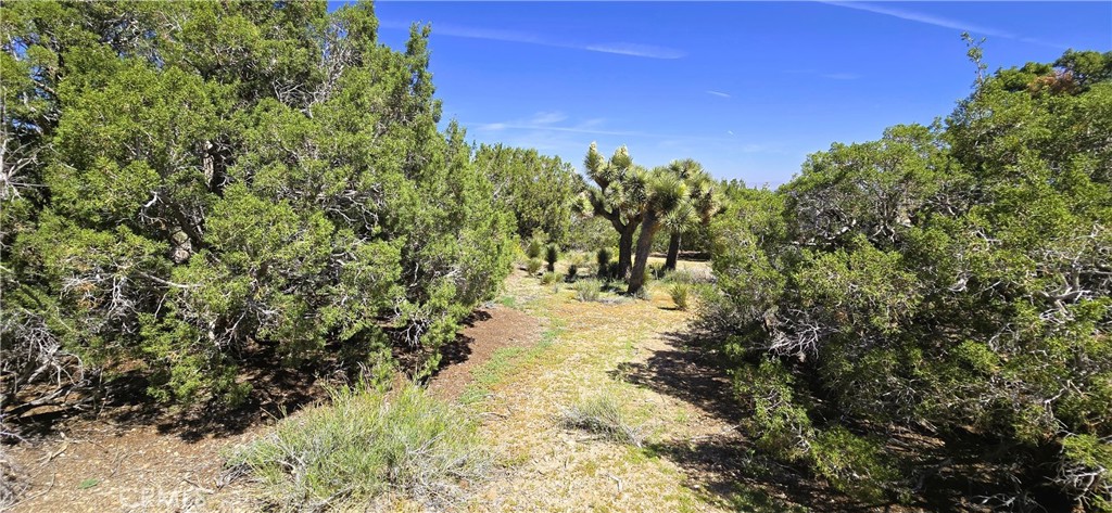 0 Sunnyslope Property Photo 11