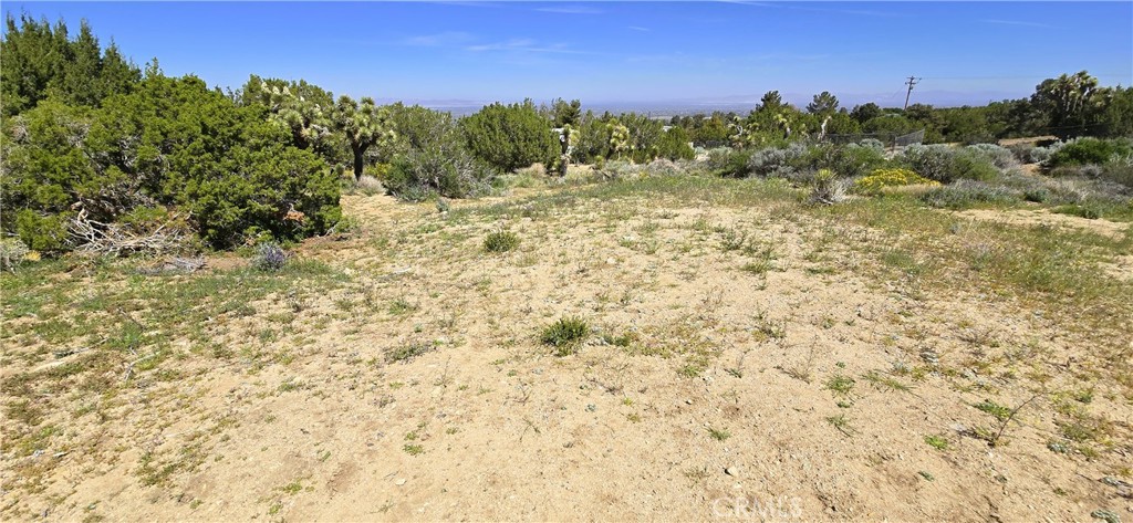 0 Sunnyslope Property Photo 12