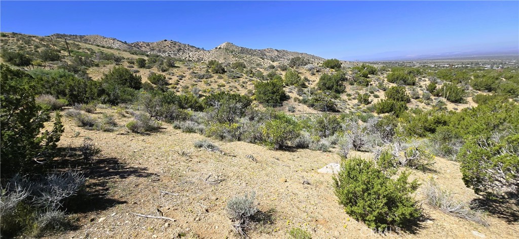 0 Sunnyslope Property Photo 13