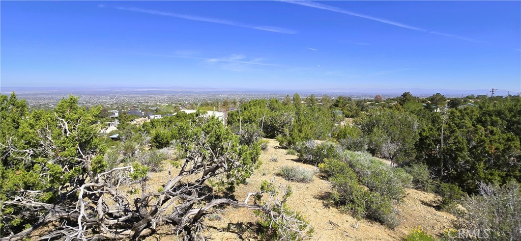 0 Sunnyslope Property Photo 17