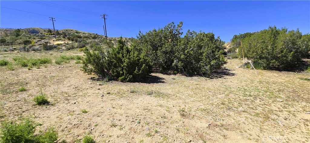0 Sunnyslope Property Photo 18