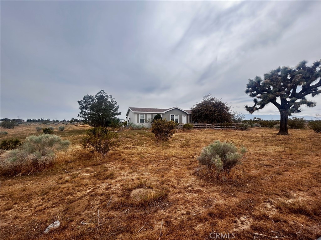 10133 Olivine Property Photo 4