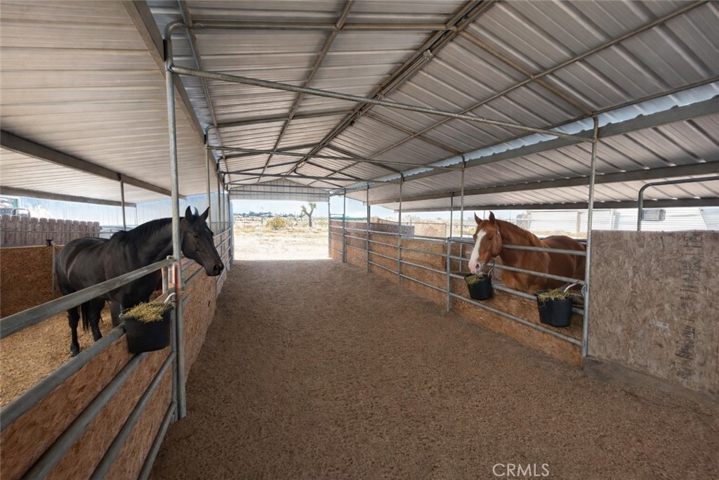 10133 Olivine Property Photo 12