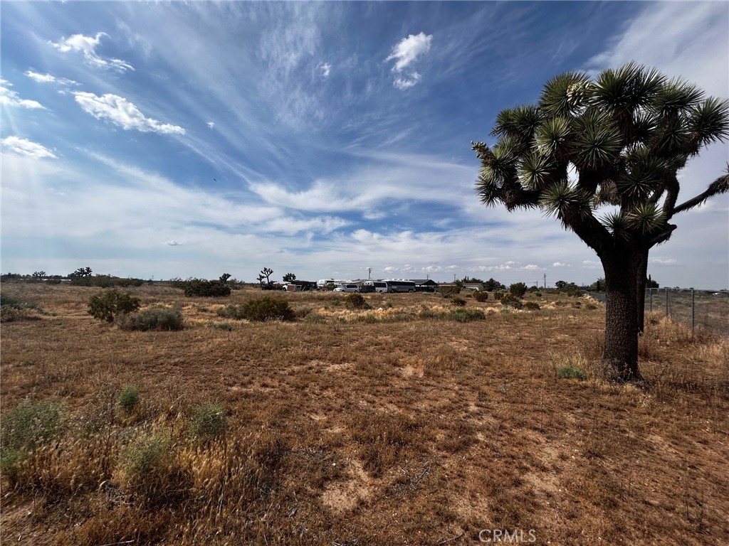 10133 Olivine Property Photo 16