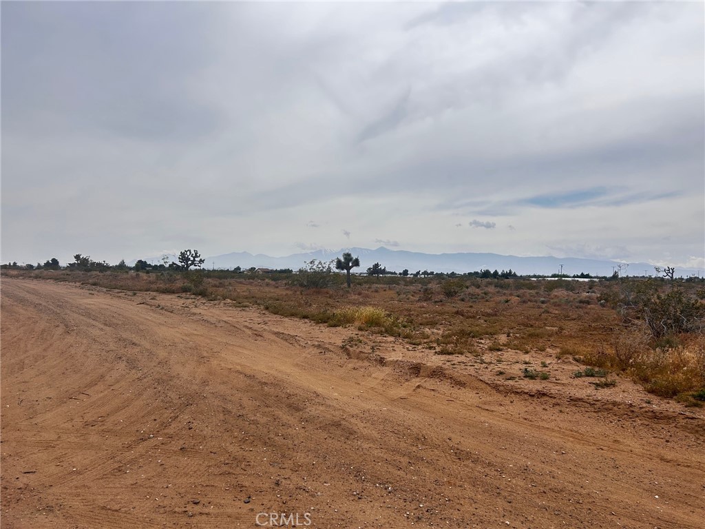10133 Olivine Property Photo 17