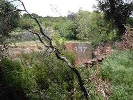 4937 Palmer Canyon Property Photo 1