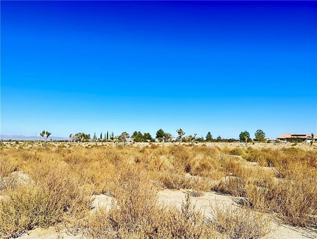 11975 Primavera Road Property Photo 2