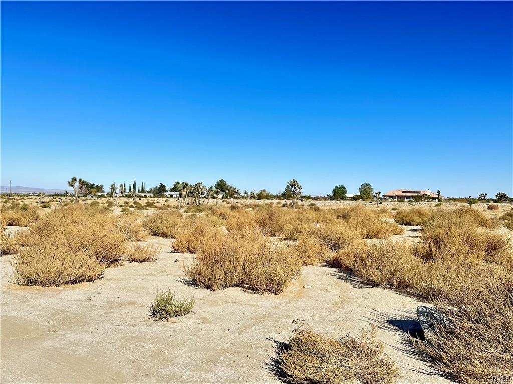 11975 Primavera Road Property Photo 4