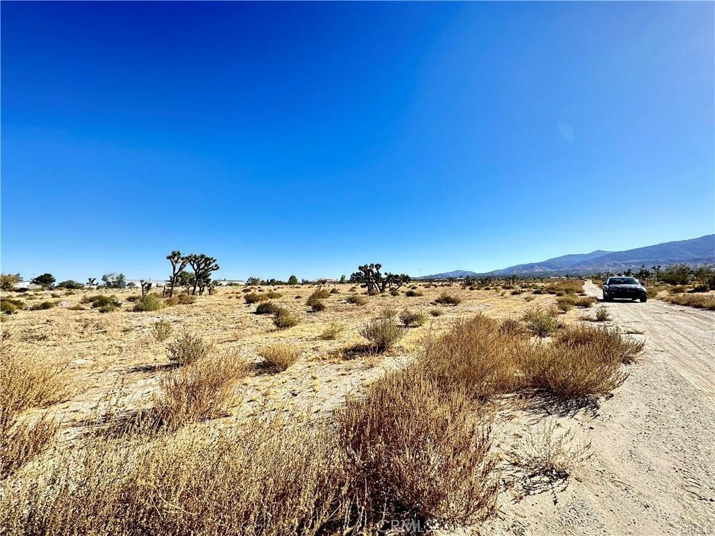 11975 Primavera Road Property Photo 5
