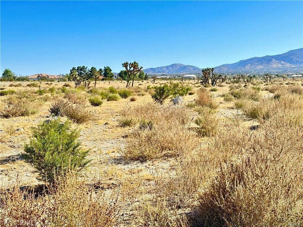 11975 Primavera Road Property Photo 7