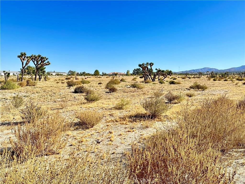 11975 Primavera Road Property Photo 10