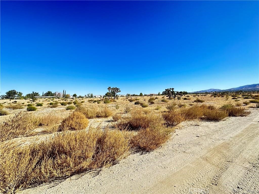 11975 Primavera Road Property Photo 11