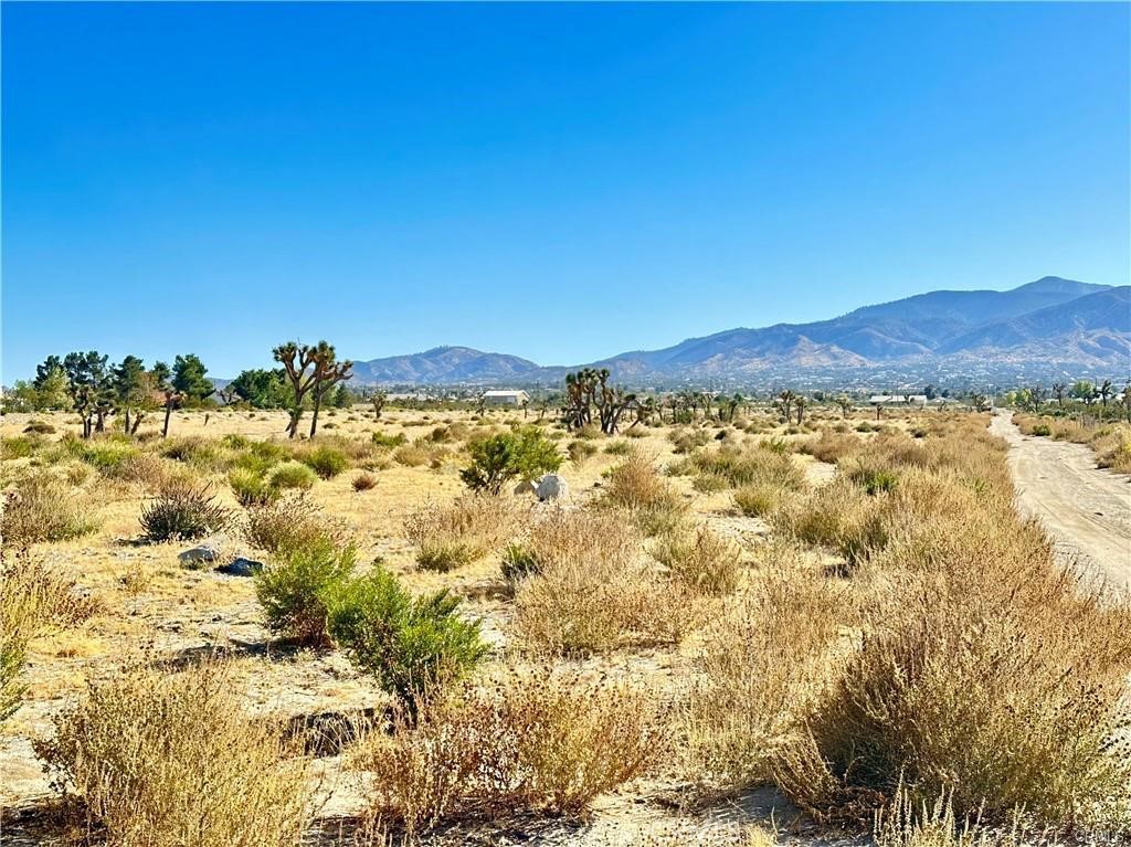 11975 Primavera Road Property Photo 13