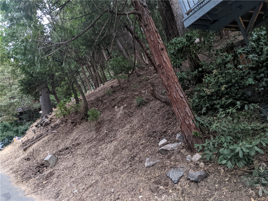 0 Wildwood Property Photo 1