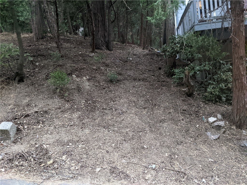 0 Wildwood Property Photo 2