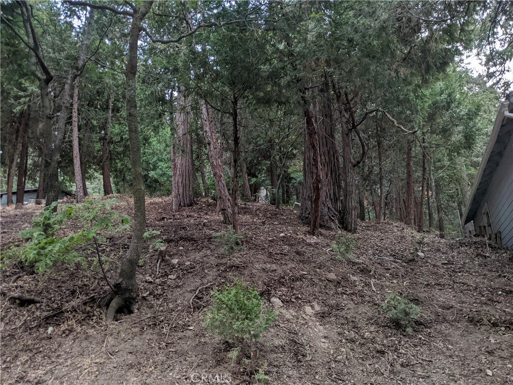 0 Wildwood Property Photo 3