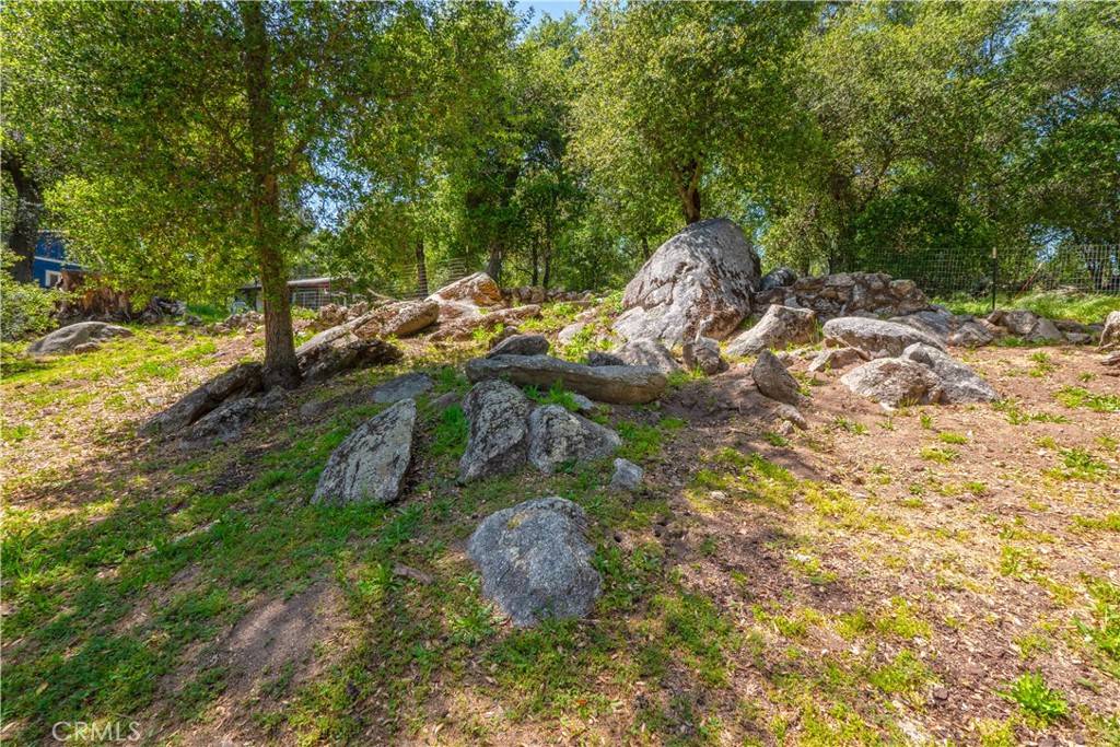 18839 Deer Trail Property Photo 41