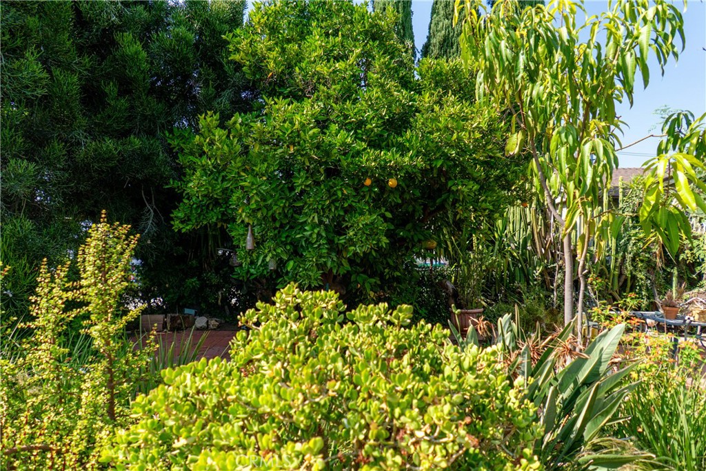 5106 N Glendora Property Photo 4