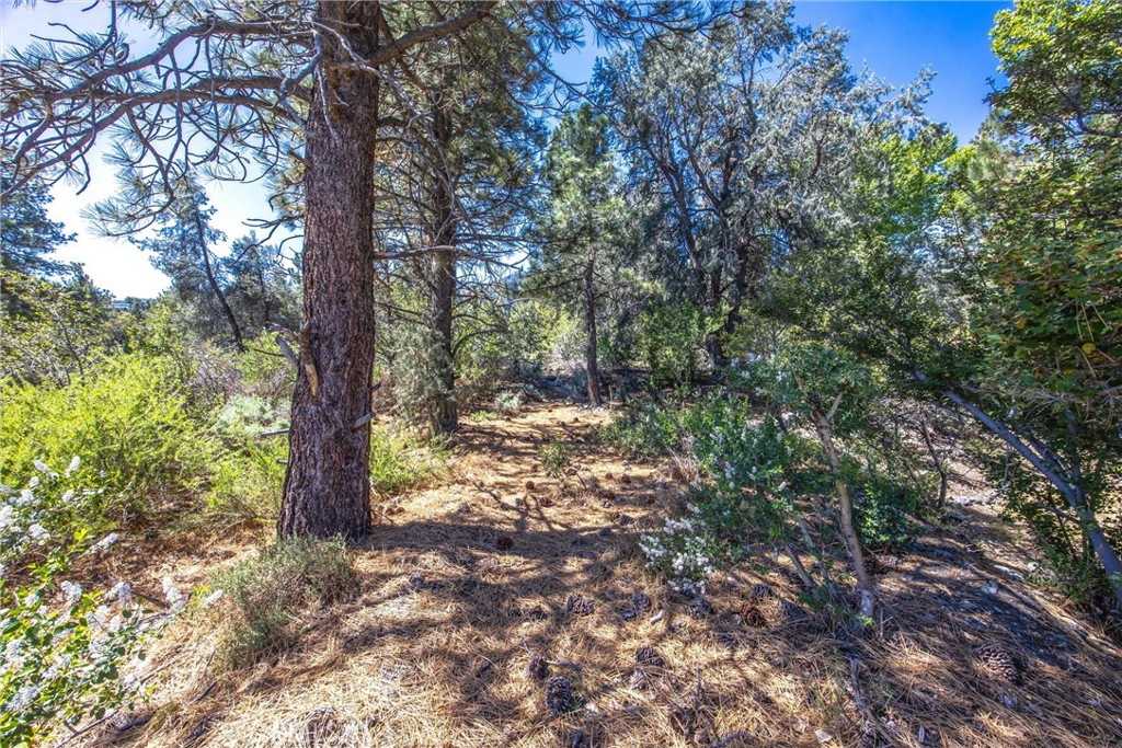 2164 Outer Hwy 2 Highway S Property Photo 26