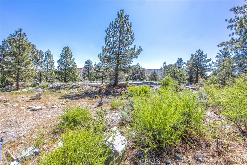 2164 Outer Hwy 2 Highway S Property Photo 28