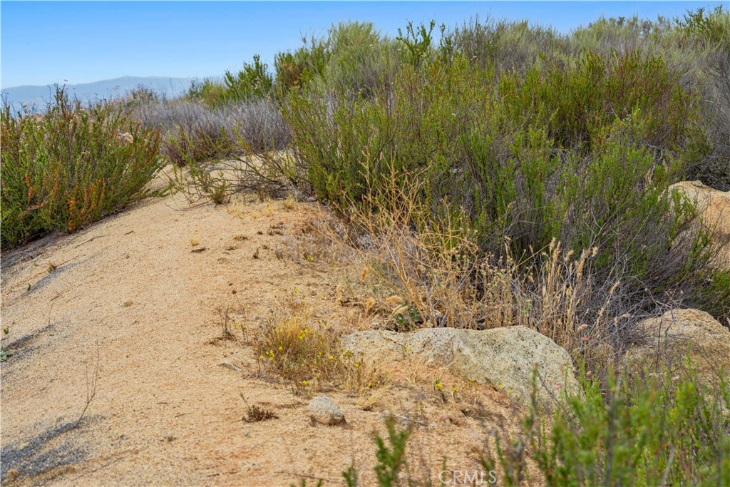 1 Gray Squirrel Road Property Photo 30