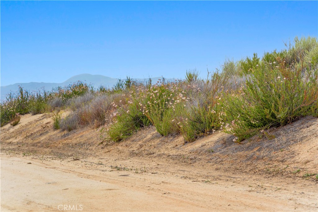 1 Gray Squirrel Road Property Photo 33
