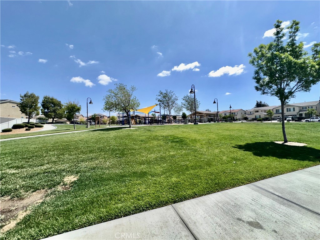 16807 Desert Lily Property Photo 7