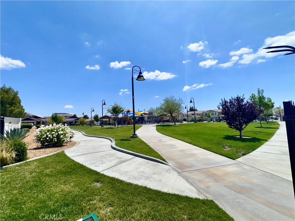 16807 Desert Lily Property Photo 8