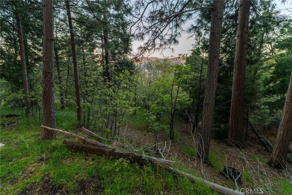 27488 North Bay Road Property Photo 6