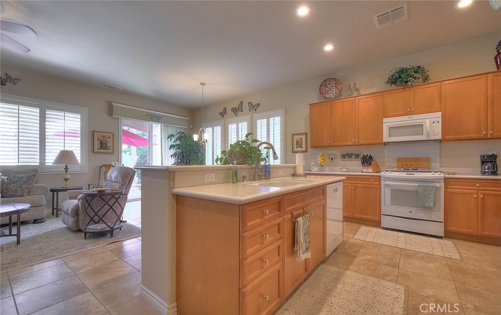 1664 Camino Sueno Property Photo 17