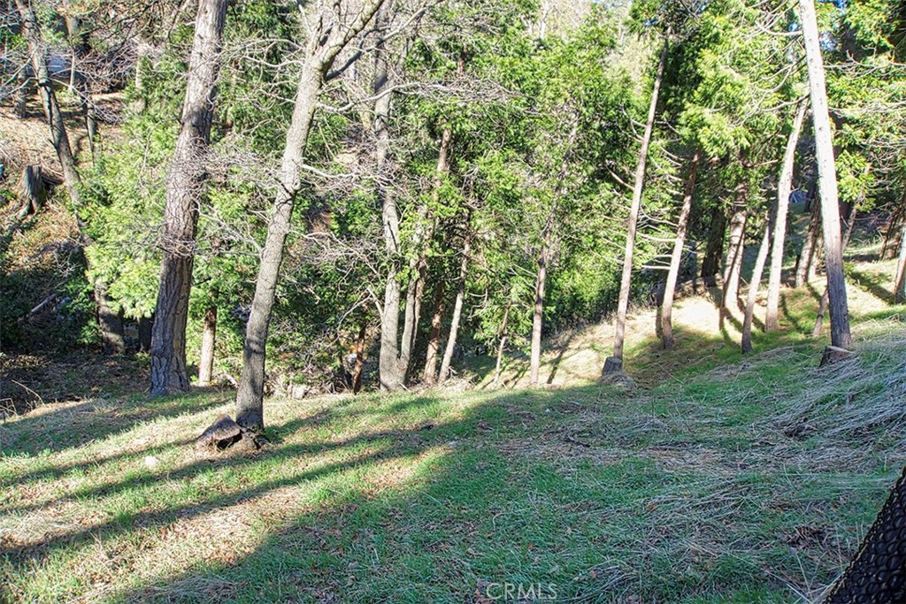 24757 Basel Drive Property Photo 5