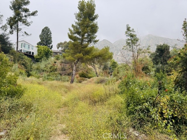 333 Wistaria Way Property Photo 3