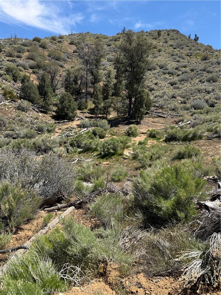 0 310-040-017 Pine Creek Valley Road Property Photo 1