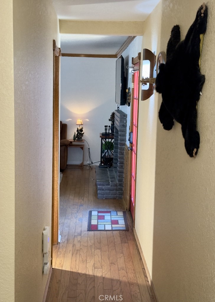 783 Villa Grove Property Photo 47
