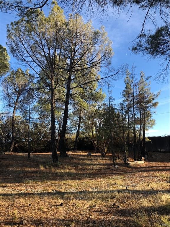 58160 Bliss Property Photo 18