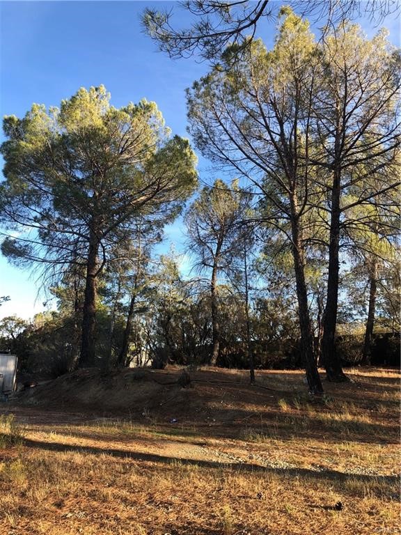 58160 Bliss Property Photo 20