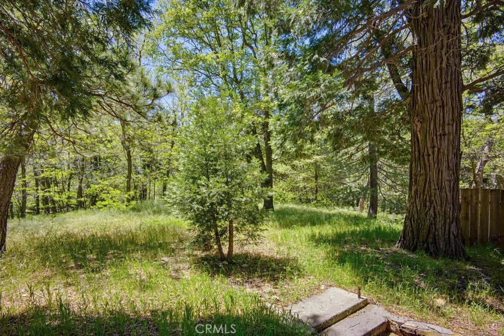 22951 Redwood Property Photo 28