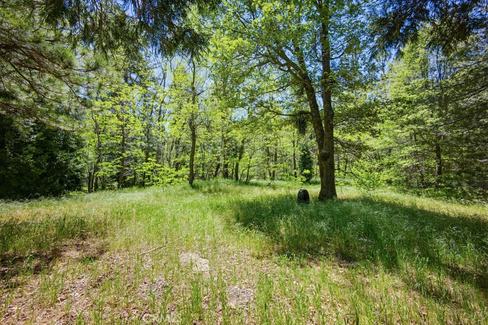 22951 Redwood Property Photo 29