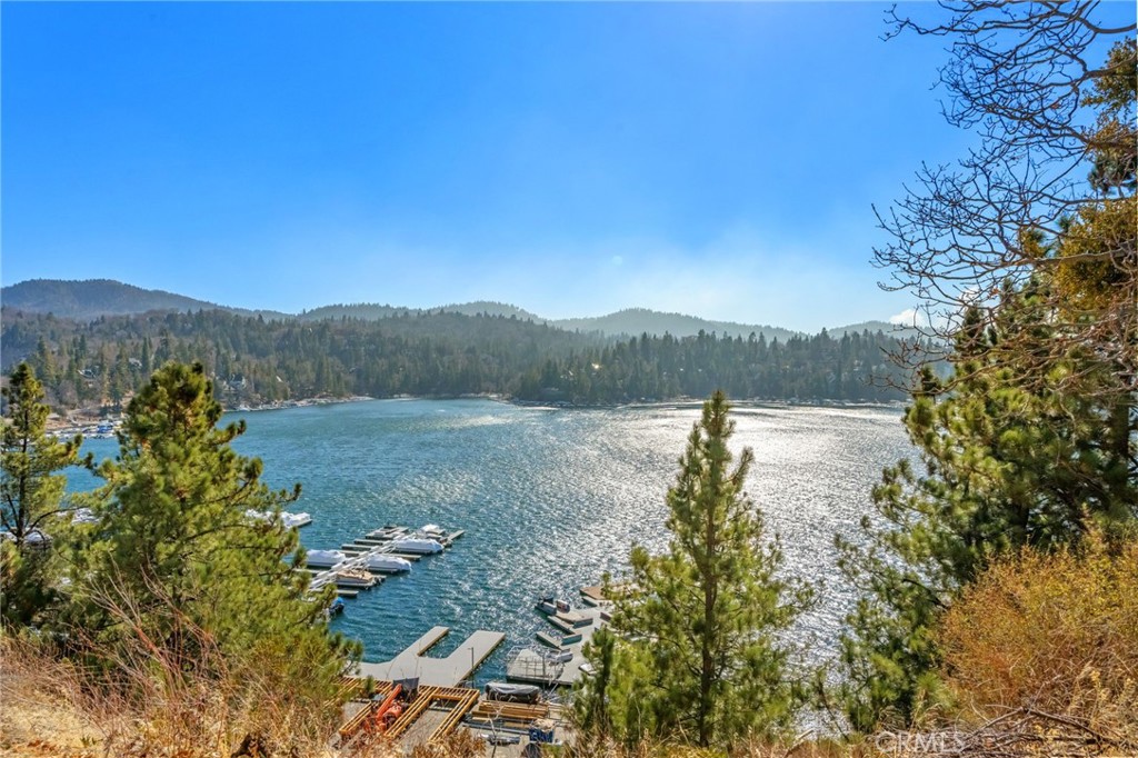 1430 Sequoia Property Photo 3